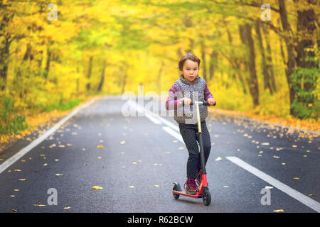 Kleine Mädchen genießen Sie Ihren Roller im Park im Herbst Stockfoto