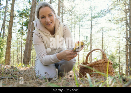 Pilze, Frau Sammeln von Pilzen im Wald Stockfoto