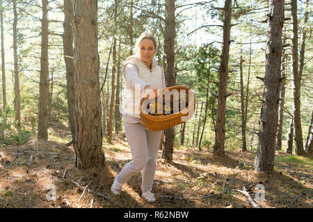 Pilze, Frau Sammeln von Pilzen im Wald Stockfoto
