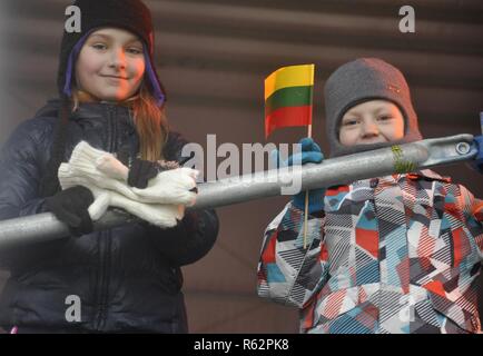 Kinder Wave die Litauische Fahne während der 100-Jahrfeier Parade der Wiederherstellung der litauischen Armee in Vilnius, Litauen, Nov. 24, 2018. Mehr als 20 Nationen in der Litauischen jahrhundert Parade teilgenommen und ihre Proklamation der Unabhängigkeit vom Russischen Reich. Stockfoto