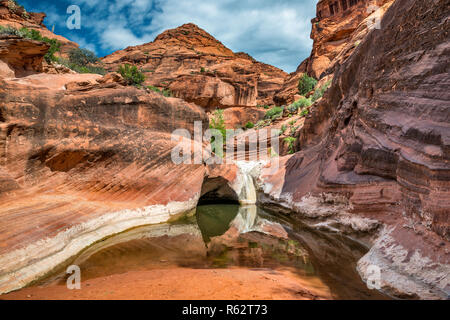 Tinaja, Wasser Pool in Navajo Sandstein Grundgestein am Roten Klippen Naherholungsgebiet, in der Nähe von St George, Utah, USA Stockfoto