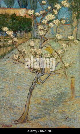 Kleine Pear Tree in der Blüte. Datum: April 1888, Arles. Abmessungen: 73,6 cm x 46,3 cm, 91,5 cm x 64 cm. Museum: Van Gogh Museum, Amsterdam. Autor: Van Gogh, Vincent. VINCENT VAN GOGH. Stockfoto