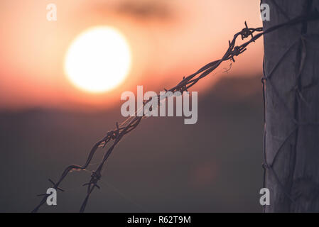 Sonnenuntergang hinter dem Zaun Stockfoto