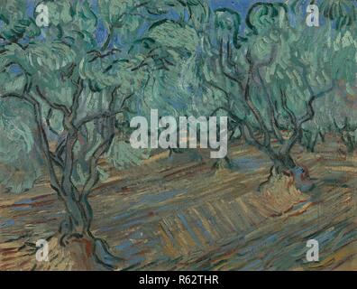 Olivenhain. Datum: Juni 1889, Saint-Rémy-de-Provence. Abmessungen: 45,5 cm x 59,1 cm, 63 cm x 76,2 cm. Museum: Van Gogh Museum, Amsterdam. Autor: Van Gogh, Vincent. VINCENT VAN GOGH. Stockfoto