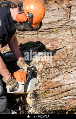 Sägen Stockfoto