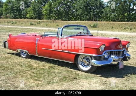 Jübek, Deutschland. 01. Juli, 2018. Ein Cadillac Eldorado Cabrio, 1954 gebaut. Seitenansicht der offenen Wandelanleihe zu einem Oldtimer Treffen in Jübek. | Verwendung der weltweiten Kredit: dpa/Alamy leben Nachrichten Stockfoto