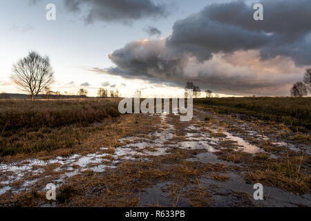 UK Wetter: Cannock Chase, 3. Dezember 2018. Dramatische ende der Tag mit Ominösen suche Wolken kommen in über der Staffordshire Stadt Cannock. Credit: Daniel James Armishaw/Alamy leben Nachrichten Stockfoto