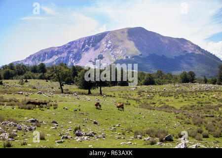 Landschaft der Nationalpark Pollino, eine große Naturpark in der Basilicata und Kalabrien, italienische Regionen Stockfoto