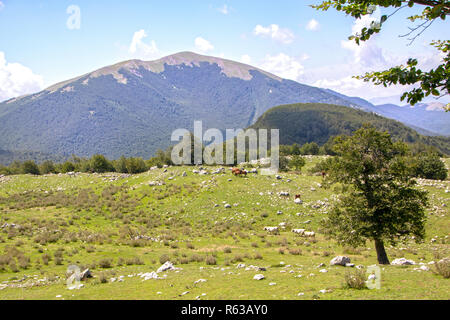 Landschaft der Nationalpark Pollino, eine große Naturpark in der Basilicata und Kalabrien, italienische Regionen Stockfoto