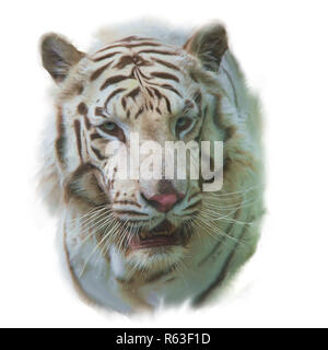 Weißer Tiger Aquarell Stockfoto