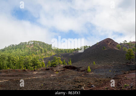 Vulkanische Landschaft von Teide Nationalpark Stockfoto