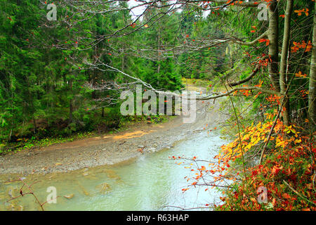 Mountain River fließt im Wald Stockfoto