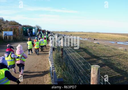 Junge Schulkinder besuchen Grau Robbenkolonie, Donna Nook, Lincolnshire, England, UK. Stockfoto