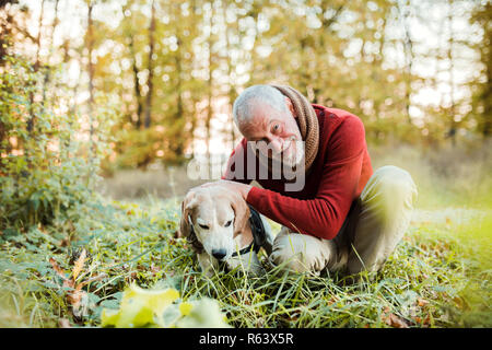 Ein älterer Mann mit einem Hund in einem Herbst sonnige Natur. Stockfoto