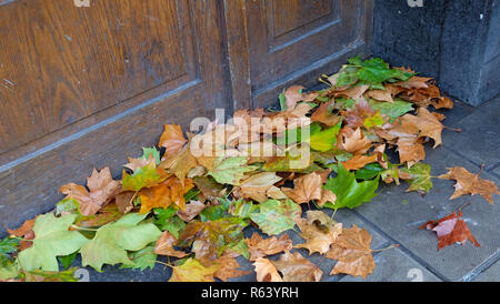 Grüne und braune Blätter im Herbst häufen sich vor der Haustür von einer hölzernen Tür. Stockfoto