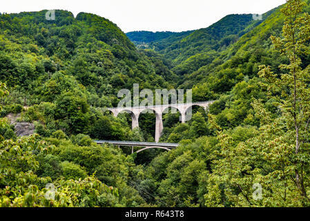 Brücken zwischen viel Grün in Montenegro, Europa. Stockfoto