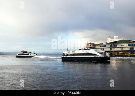 Fahrgast Katamaran Fjordkatt im Hafen von Bergen, Norwegen anreisen, an einem verregneten und nebligen Tag. Katamaran Ekspressen auf dem Weg über die Byf Stockfoto