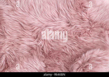 Rosa Schafe fell. Natürliche Schaffell Teppich Hintergrund Textur Stockfoto