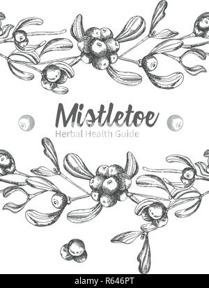 Satz von Hand gezeichnet botanischen Skizze Mistelzweige. Vintage Style. Traditionelle weihnachtliche Dekoration. Für design Urlaub Karte, Einladung, Plakat, Banner Stock Vektor