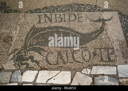 Rom. Italien. Ostia Antica. Mosaik, ein Delphin mit einem Oktopus in den Mund und der Inschrift "INBIDE CALCO TE" (neidisch, dass ich mich auf euch Lauffläche) Stockfoto