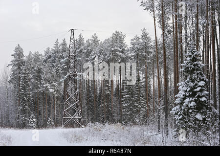 Hochspannungsleitung in den Wald in einem der frostigen Tage. Die Bäume sind mit schweren Schnee Kappen abgedeckt. Stockfoto