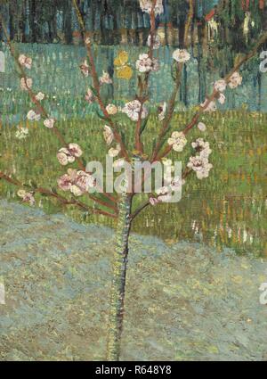 Peach Tree in der Blüte. Datum: April 1888, Arles. Abmessungen: 50 cm x 37,5 cm, 67 cm x 55 cm. Museum: Van Gogh Museum, Amsterdam. Autor: Van Gogh, Vincent. VINCENT VAN GOGH. Stockfoto