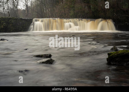 Der Wasserfall in Linn Park, Glasgow, Schottland Stockfoto