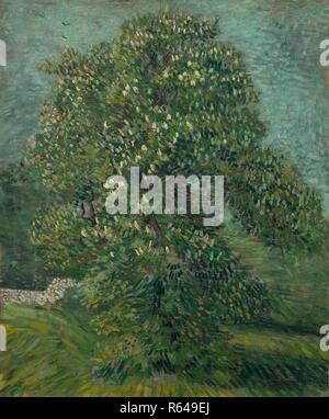 Rosskastanie Baum in Blüte. Datum: Mai 1887, Paris. Abmessungen: 55,8 cm x 46,5 cm, 70,7 cm x 61,5 cm. Museum: Van Gogh Museum, Amsterdam. Autor: Van Gogh, Vincent. VINCENT VAN GOGH. Stockfoto