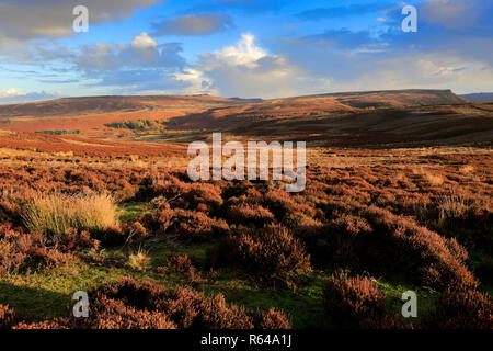 Sonnenuntergang über den Derwent Mauren, Obere Derwent Valley Nationalpark Peak District, Derbyshire, England, Großbritannien Stockfoto