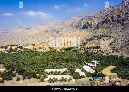 Ras Al Kaimah Vororten Dhayah Fort malerischen Palmen Landschaft mit Jebel Jais Bergblick Stockfoto