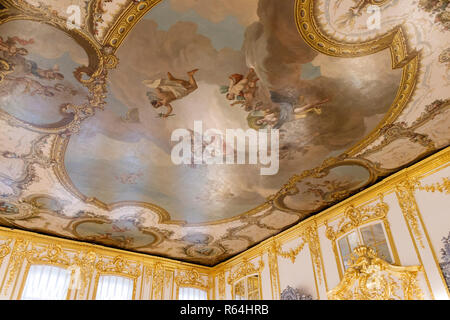 Teil einer bemalten Decke in der Catherine Palace, Zarskoje Selo, Sankt Petersburg. Russland Stockfoto