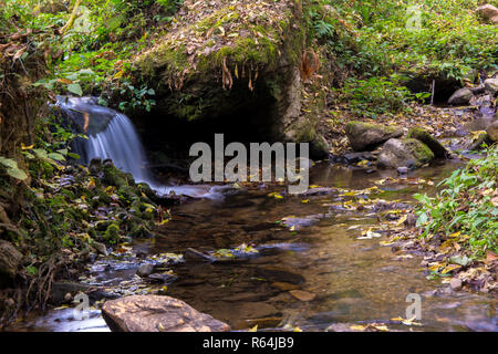 Ein kleiner Fluss tief in den tropischen Wäldern Stockfoto