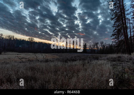 Sonnenuntergang in der Kleinen Spokane Natural Area Stockfoto