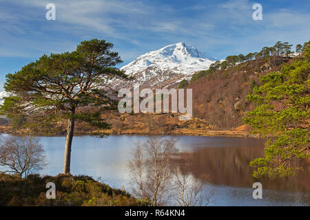 Gemeine Kiefer (Pinus sylvestris) der Kaledonischen Wald entlang Loch Affric im Winter, Glen Affric, Inverness-shire, Highlands, Highland, Schottland Stockfoto