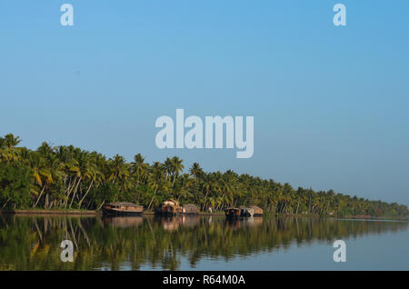 Die Side Shot von Bäumen und Boote in Alleppey geparkt Stockfoto