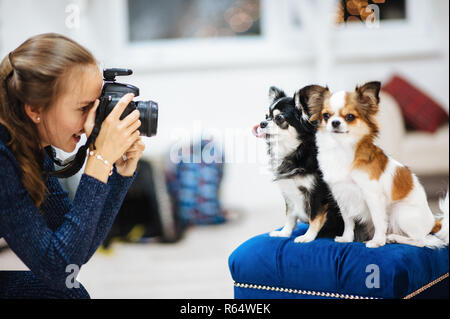 Schöne kaukasische Mädchen Fotograf mit der Kamera, Bild der kleinen Hunde im Studio Stockfoto