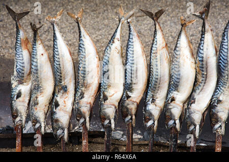 Grillen Fisch auf einem Stick Stockfoto