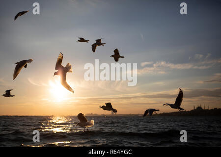 Istanbul Stockfoto