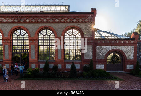 Am späten Nachmittag Sonne beleuchtet die Pflanzen durch die Fensterbögen im Wintergarten auf der Biltmore Estate in Asheville, NC, USA Stockfoto