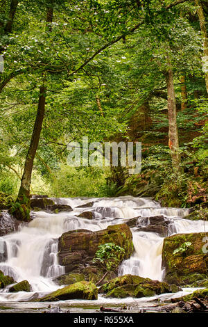 Selkewasserfall im Harz Stockfoto