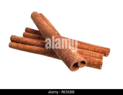 Getrocknete Rinde von cinnamomum Cassia, genannt der Chinesischen cassia oder Chinesischer Zimt. Auf weissem Hintergrund. Stockfoto