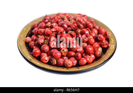 Saatgut von Schinus terebinthifolia oder Brasilianischen peppertree, aroeira oder rosa Pfeffer, breitblättrigen Pepper Tree, wilelaiki oder wililaiki, Christmasberry und F Stockfoto