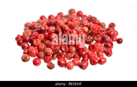 Saatgut von Schinus terebinthifolia oder Brasilianischen peppertree, aroeira oder rosa Pfeffer, breitblättrigen Pepper Tree, wilelaiki oder wililaiki, Christmasberry und F Stockfoto