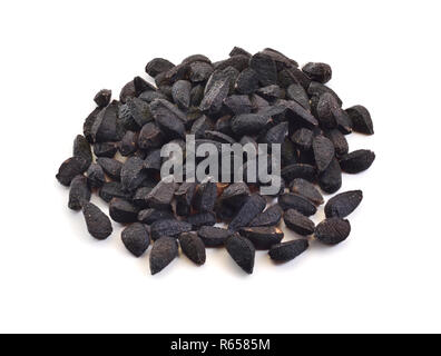 Samen der Nigella sativa oder Fenchel Blume, Muskatnuss Blume, schwarz Kümmel, römische Koriander, Schwarzkümmel, blackseed, schwarz Kümmel, Bunium persicum. Isolat Stockfoto