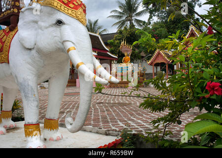 Elefant staute im Kloster Wat Ban Xang Hai Tempel an den Ufern des Mekong River in der Nähe von Luang Prabang Laos Stockfoto