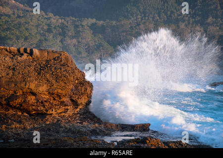 Ocean Wave brechen gegen die felsige Küste mit bewaldeten Hang in der Ferne am Point Lobos in der Nähe von Carmel, Kalifornien Stockfoto