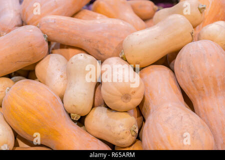 Eine Menge mini Kürbis im Freien Farmers Market. Organische Halloween Kürbis in einem Lebensmittelgeschäft. Stockfoto