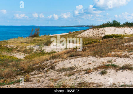 Dünen mit Gras bewachsen, sandigen Küste Stockfoto