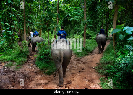 Eine touristische und mahout Fahrt einen Elefantenritt in Elephant Village Sanctuary Resort, in der Nähe von Luang Prabang Laos Stockfoto