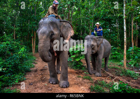Mahouts in einem Elefantenritt in Elephant Village Sanctuary Resort, in der Nähe von Luang Prabang Laos Stockfoto